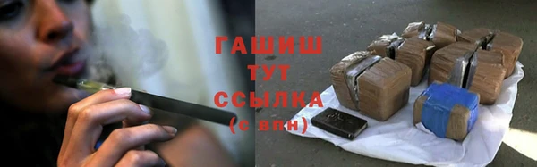 шишки Покачи