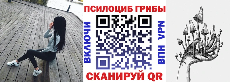 продажа наркотиков  Сковородино  ОМГ ОМГ ТОР  Галлюциногенные грибы Psilocybine cubensis 
